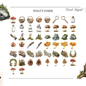 Grid view of 50+ individual woodland and fungi PNG assets for digital download.