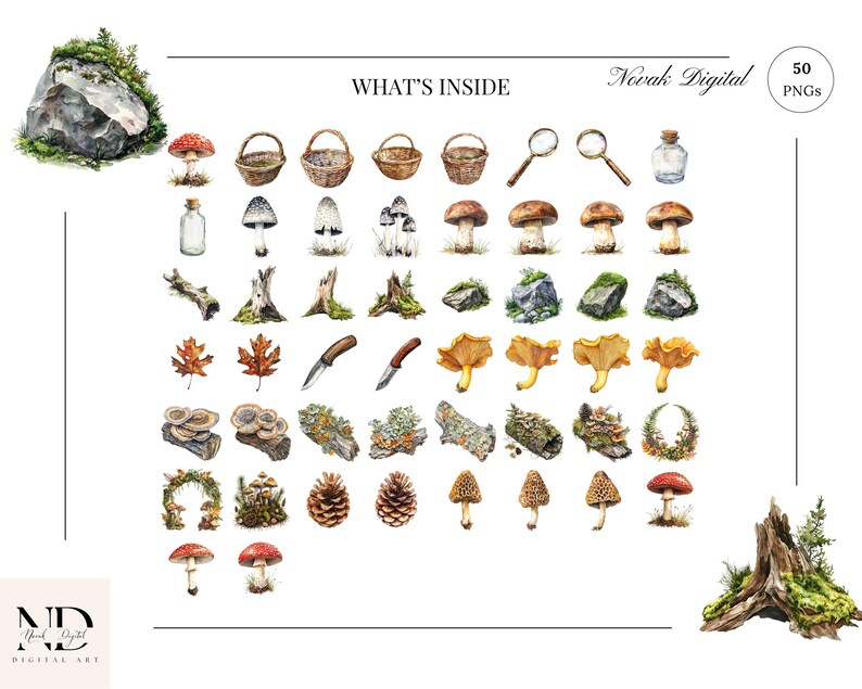 Grid view of 50+ individual woodland and fungi PNG assets for digital download.