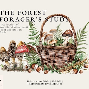 May include: Watercolor illustration of a woven basket filled with mushrooms and ferns. The basket is brown, and the mushrooms have various cap colors, including red, brown, and white. The text reads "THE FOREST FORAGER'S STUDY."