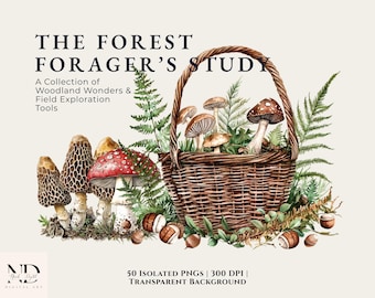 Watercolor Mushroom Clipart - Forest Forager Bundle - Woodland Fern - Vintage Gear - Junk Journal Supplies - Botanical Fungi PNG - Mossy Art