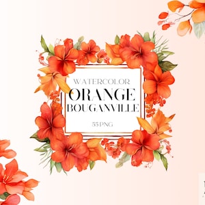 Aquarel oranje Bouganville bloemen clipart, Bouganville, zomer en lente clipart, aquarel PNG bundel, Buganville kunst, commercieel gebruik