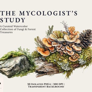 May include: A watercolour illustration titled "The Mycologist's Study" depicting a collection of fungi and forest treasures. The image shows various mushrooms, a pine cone, and moss-covered wood and rock. The text reads "A Curated Watercolor Collection of Fungi & Forest Treasures."