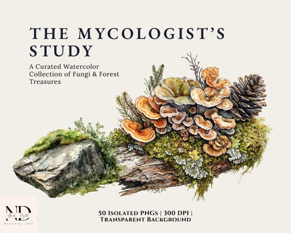 Vintage Mushroom Clipart - The Mycologist Study PNG - Wild Fungi Illustrations - Forest Floor Moss & Lichen - Botanical Science Art Bundle