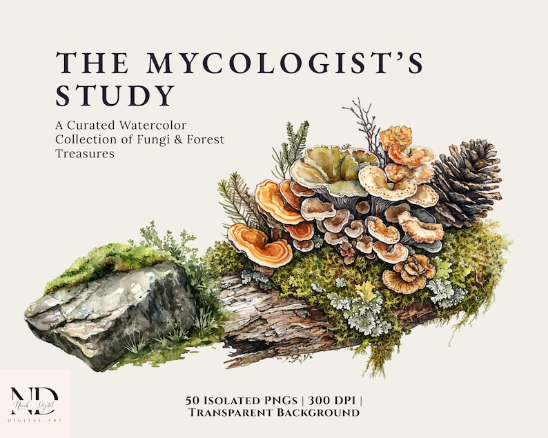 Watercolor mushroom clipart bundle with vintage fungi, moss, and pine cones in a naturalist study style.