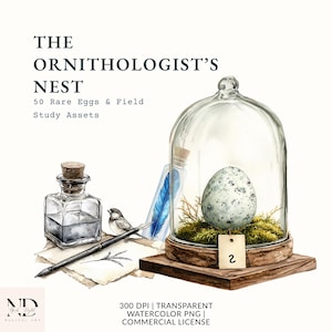 May include: Watercolor illustration titled "The Ornithologist's Nest" featuring a speckled egg inside a glass cloche on a wooden base. Includes a quill, inkwell, bird, and a blue feather in a glass vial. The image has the text "50 Rare Eggs & Field Study Assets".