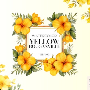 Aquarel gele Buganville bloemen clipart set van 55, aquarel PNG bundel, Buganville kunst, roze Buganville, zomer en lente clipart