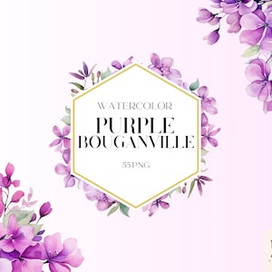 Aquarel paarse Bouganville bloemen clipart, Bouganville, zomer en lente clipart, aquarel PNG bundel, Buganville kunst, commercieel gebruik