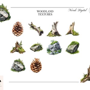 Vibrant green moss cushions and weathered bark with lichen watercolor graphics.