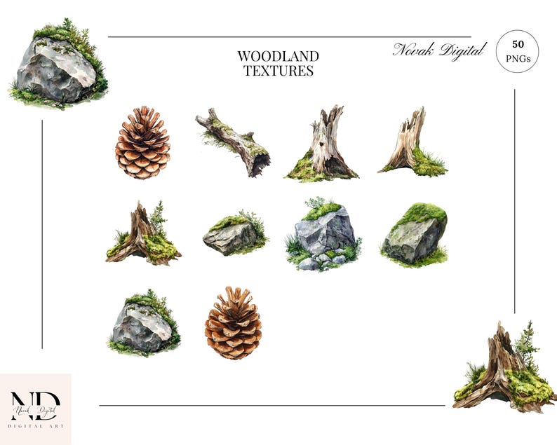 Vibrant green moss cushions and weathered bark with lichen watercolor graphics.