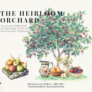 Könnte beinhalten: Aquarellillustration mit einem Baum voller roter Kirschen, zusammen mit einer Sammlung von Früchten und dekorativen Gegenständen. Der Text lautet "THE HEIRLOOM ORCHARD" und "A Luxury Collection of Heritage Fruits & Farmhouse Treasures".