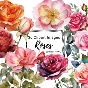 36 Roses clipart, Flowers PNG, Watercolor Floral Clipart Bouquets, Digital clipart PNG