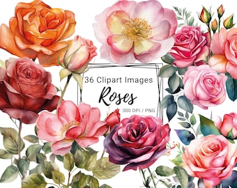 36 Roses clipart, Flowers PNG, Watercolor Floral Clipart Bouquets, Digital clipart PNG