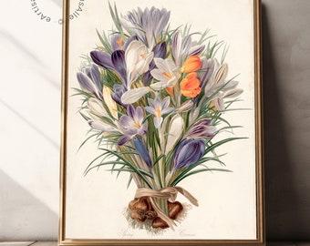 Vintage Crocus Botanical Print: Purple & Yellow Floral Art (Digital Download)