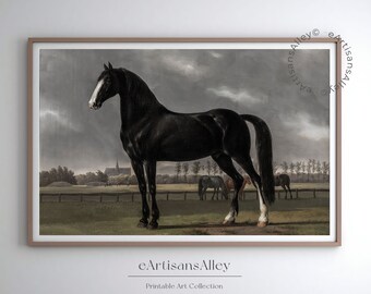 Black Stallion Antique Print: Rustic Farmhouse Equestrian Art (Digital Download)