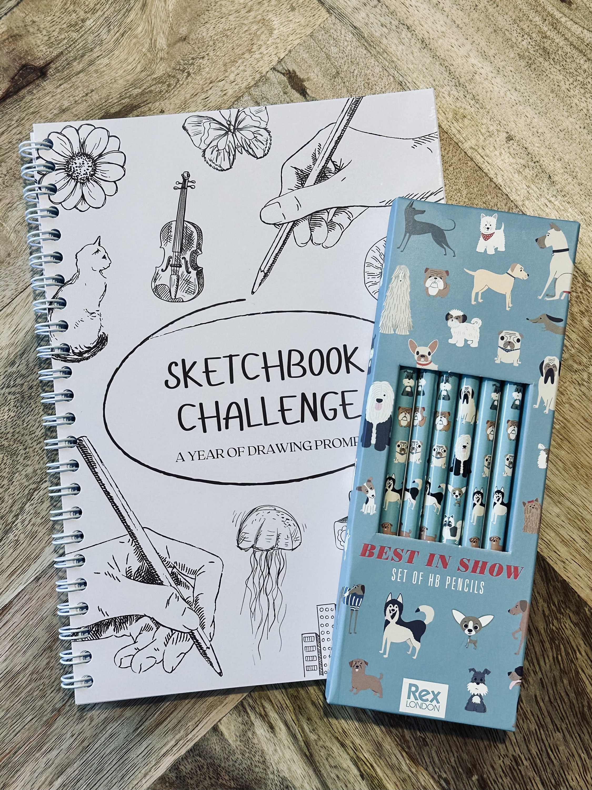 A5 Sketchbook Challenge Drawing Prompts for a Year for Teens