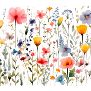10 cliparts de prairie de fleurs sauvages PNG, images de nature florale d'été, fleurs sauvages pour impression, collage, album, journal indésirable, usage commercial gratuit