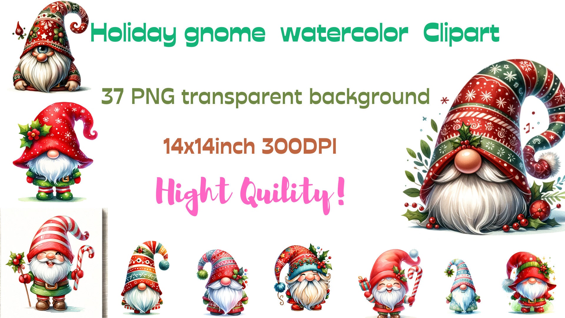 Holiday Gnome in Watercolor Clipart PNG Format 37 Holiday Gnome Pngs ...