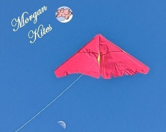 Delta Kite (personalisable) by Morgan Kites
