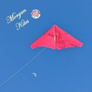 Delta Kite (personalisierbar) von Morgan Kites