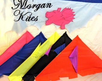 Delta Kite (optional personalisation) by Morgan Kites. A quality handcrafted and superb flying kite. Outdoors fun activity for any age.