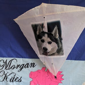 Custom Printed Malay Diamond Kite. Made by kike maker Dave Morgan.