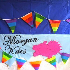 Puede incluir: Una pancarta con el texto "Morgan Kites" y una ilustración de cerdo rosa, flanqueada por guirnaldas de banderines arcoíris. El fondo es azul y blanco.