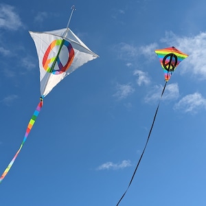 Puede incluir: Dos cometas volando en un cielo azul. Una cometa es blanca con un símbolo de paz arcoíris y la otra es arcoíris con un símbolo de paz negro.