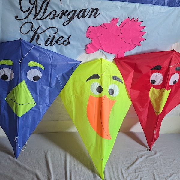 Verrückte Vögel von Morgan Handmade Kites. Ein toller leicht fliegender Drachen. Verschenken Sie Flugreisen. Traditionelles Flugspielzeug Freude.