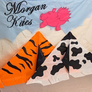 Kite x2 Delta (Wild Things) Limited edition.