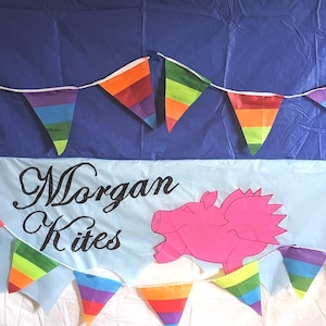 Bandierine - Bandierine arcobaleno per feste da interno/esterno adatte a qualsiasi occasione.