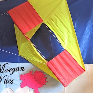 Seinhuisvlieger van Morgan Kites