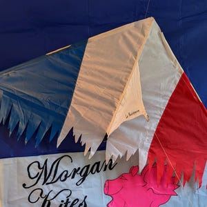 Op de afbeelding: Een blauwe, witte en rode vlieger met een gekarteld randontwerp. De vlieger heeft de tekst "La Française" erop.