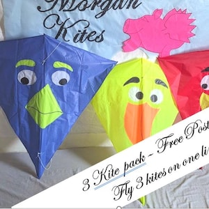 Wacky Bird Drachenzug - 3er Pack. 3 Drachen an einer Leine fliegen lassen