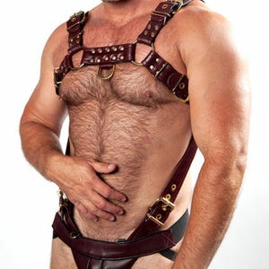 May include: A burgundy leather harness with gold-colored metal hardware. The harness features multiple straps, buckles, and rings. The design includes a chest piece, shoulder straps, and a lower body strap.