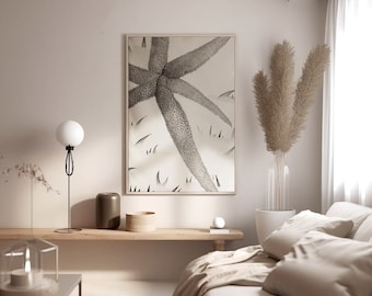 Pode incluir: Um interior de quarto minimalista com uma ilustração em preto e branco emoldurada de uma estrela do mar, um vaso com grama de pampas seca, uma mesa de cabeceira com uma lâmpada e uma cama com roupa de cama branca e uma manta.