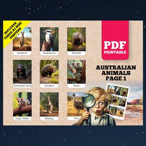 ANIMALS FLASH Cards for Kids: Preschool, Montessori, Primary Education - Homeschool Vocabulary Cards for Visual Learning and Discrimination