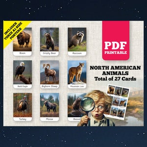 USA TIERE Bildkarten: Kinder Vorschule, Montessori, Grundschule - Vokabelkarten zur visuellen Unterscheidung und zum Lernen der Kleinkinder
