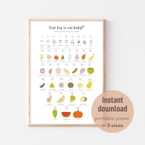 Wie groß ist unser Baby? | Druckbare Woche für Woche Wachstumstabelle Poster | Obst und Gemüse | Sofort Download