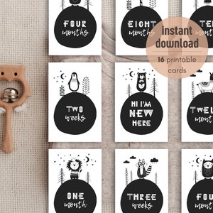 Cartes bébé étape importante | Animaux | Lot de 16 | Jalons mensuels en noir et blanc | Imprimable | Téléchargement instantané