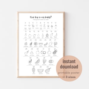 ¿Qué tamaño tiene nuestro bebé? / Póster imprimible con gráfico de crecimiento fetal semana a semana / Frutas y verduras / Blanco y negro / Descarga instantánea
