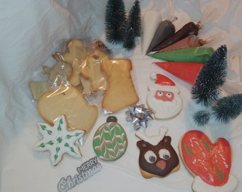 Kit de Décoration de Biscuits de Noël