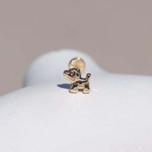 Piercing para trago de cachorro, piercing minimalista para trago en oro de 14 quilates, piercing Daith, piercing de oreja con perno, pendiente para trago de perro en oro de 14 quilates, regalo para ella