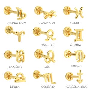 Piercing al trago in oro vero 14K con segno zodiacale, Ariete, Toro, Gemelli, Cancro, Leone, Vergine, Bilancia, Scorpione, Sagittario, Capricorno, Acquario, Pesci