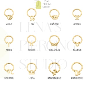 14K Gold Zodiac Sign Hoop Piercing, Conch Earring, Daith Ring, Rook Ring, Hinge Hoop Daith Ring, Rook Ring, Zodiac Sing Earring,Gift for her