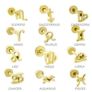 14K Solid Gold Sternzeichen Piercing: Helix, Conch, Tragus
