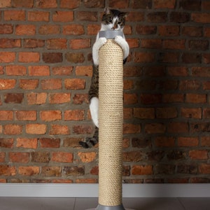 High (95 cm), stable cat scratcher with a modern shape.
