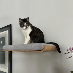 Può includere: Un gatto tigrato e bianco è seduto su una mensola a muro per gatti. La mensola ha un cuscino grigio e una cornice in legno curva. La coda del gatto è rivolta verso il basso. La mensola è montata su un muro grigio chiaro.