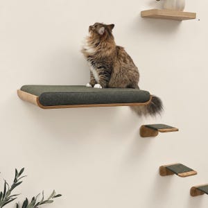 May include: A long-haired brown and black tabby cat sits on a rectangular wall-mounted wooden shelf with a dark green fabric top. Below the main shelf, three smaller matching wooden steps with green fabric pads are mounted to the wall.
