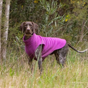 Warm Dog Coat for Winter | Puppy Jumper with Turtleneck | Arctic Tank