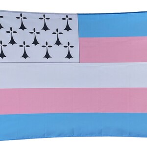 Drapeau Trans Breton image 5